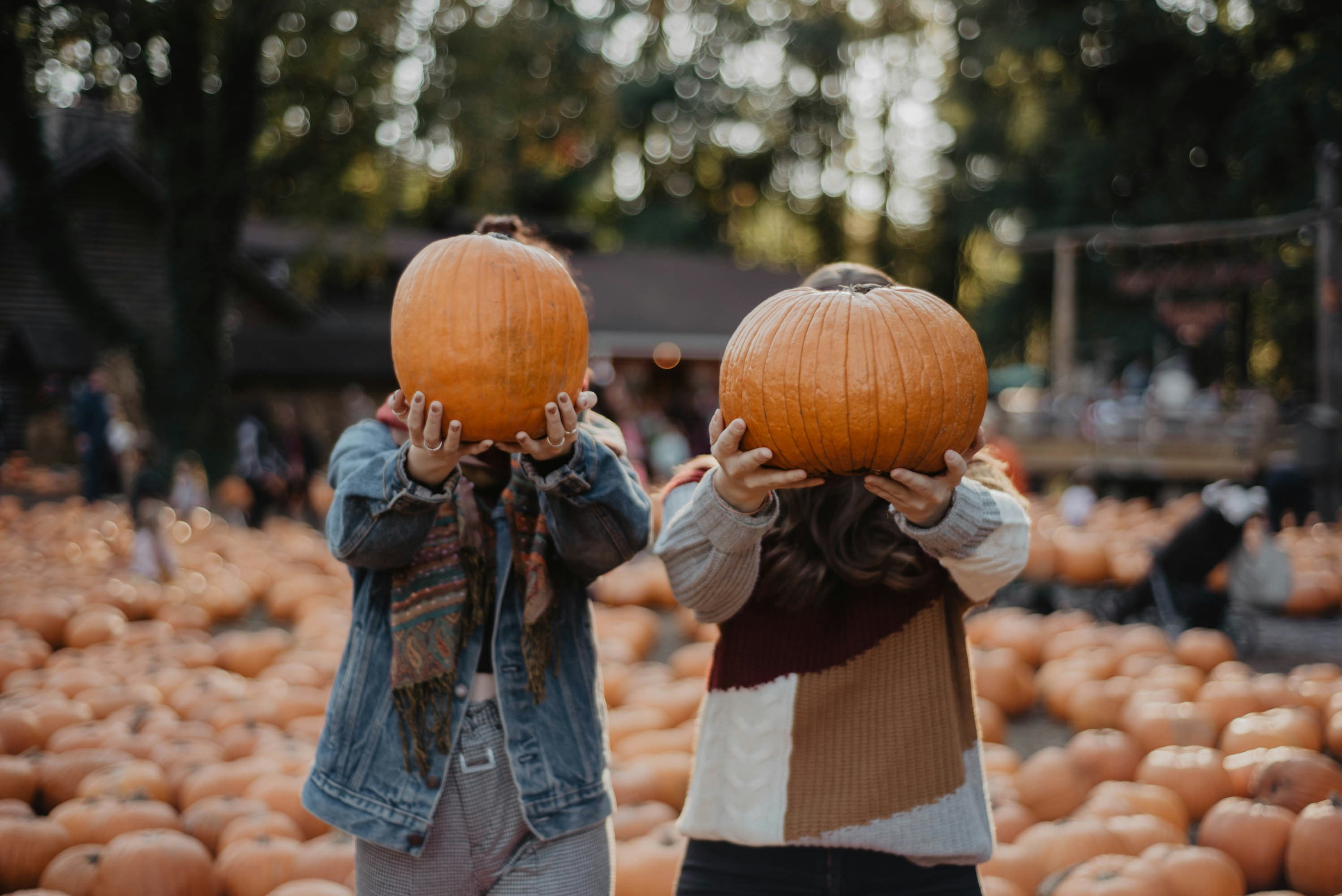 Pumpkin patch hayride